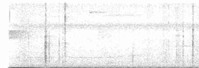 Kara Tepeli Küçük Tiran - ML612714058