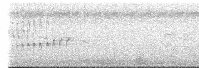 White-ringed Flycatcher - ML612714407