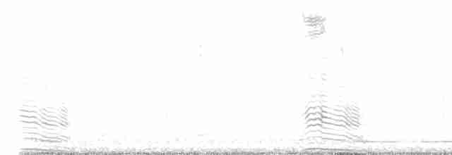 Сероголовая султанка - ML612715196