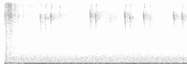 Каллиопа-звёздочка - ML612715829