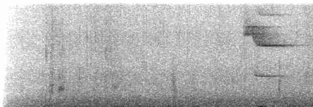 Grallaire de Kaestner - ML612731060