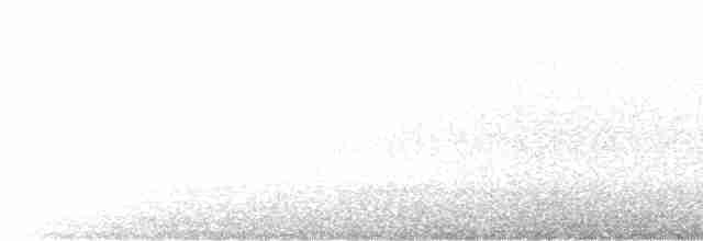 Горихвістка водяна - ML612732643