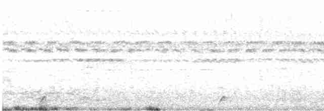 Pauraquenachtschwalbe - ML612732877