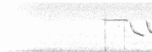 svarthakespurv - ML612733004