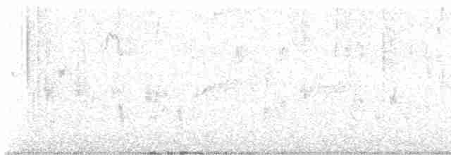 Шишкар ялиновий - ML612734612