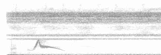 Pauraquenachtschwalbe - ML612735608