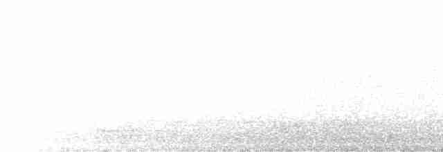 Горихвістка водяна - ML612738919