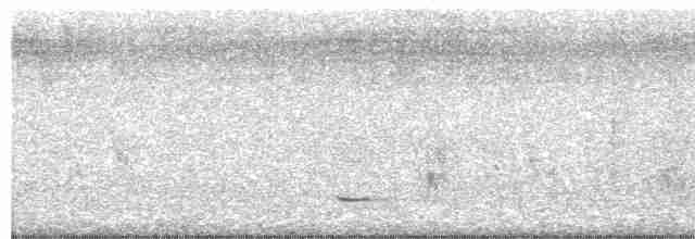 Striped Kingfisher - ML612739734