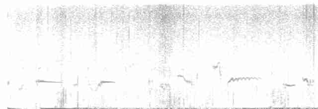 Cuitlacoche de las Artemisas - ML612740466