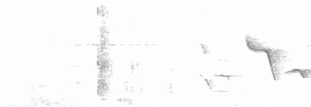 Troglodyte de Zapata - ML612744786