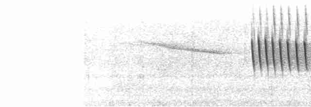 Weißbrauenschnäpper - ML612748612