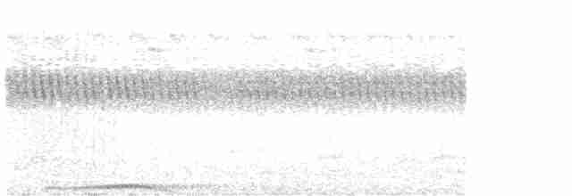 svartknoppkeiserdue - ML612749632