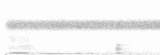 svartknoppkeiserdue - ML612749636