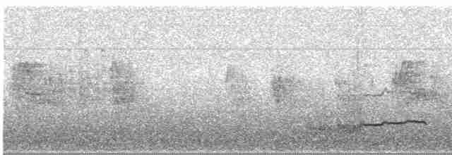 Eurasian Curlew - ML612751119