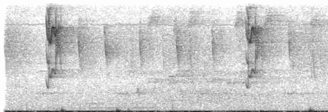 Длинноклювый колибри-отшельник - ML612756184