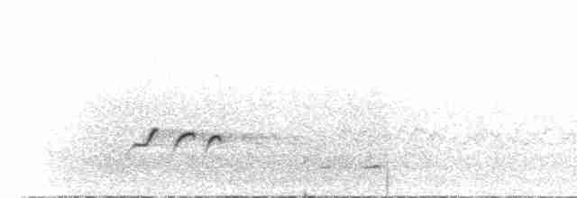 Длинноногая тиркушка - ML612756906