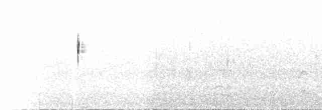 Australasian Grebe - ML612756918