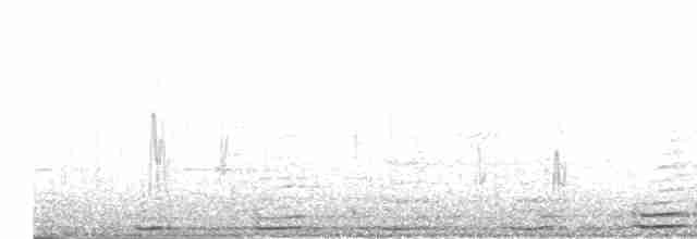 扁嘴海雀 - ML612757282