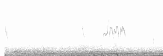 扁嘴海雀 - ML612757284