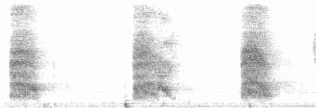 Kara Yanaklı Saksağan Kargası - ML612757664