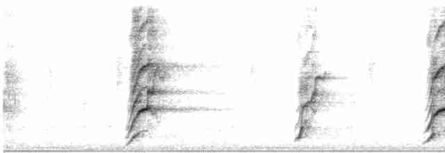 Kara Yanaklı Saksağan Kargası - ML612757672