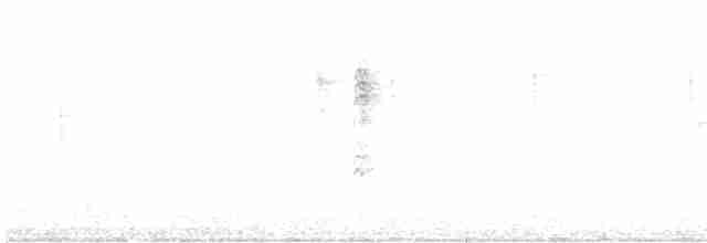 Малая вильсония - ML612757703