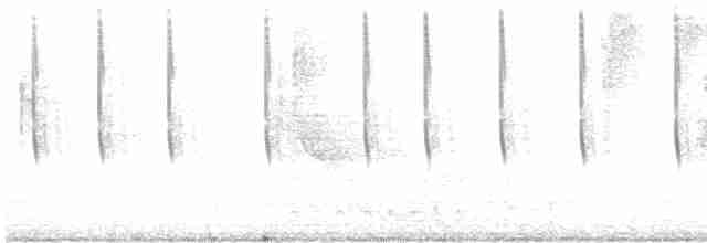Белоухий колибри - ML612757964