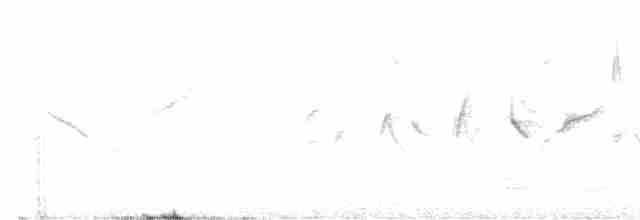 "Канарский вьюрок, дикая канарейка" - ML612758304