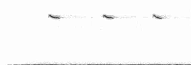 Maluro del Eyre - ML612758500