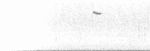 Finkenschnabel-Grasschlüpfer - ML612758537