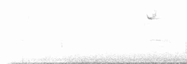 Hermit Thrush (faxoni/crymophilus) - ML612761252