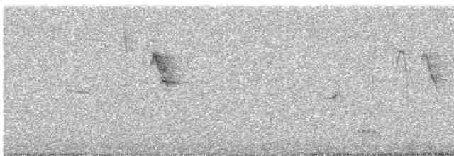 Dot-winged Crake - ML612767250