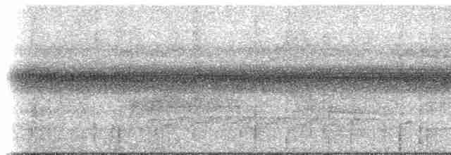 Зернолуск білогорлий - ML612768468
