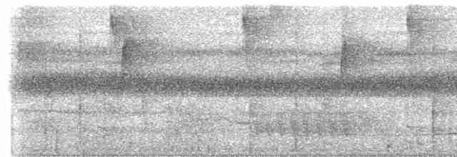Black-tailed Trogon (Black-tailed) - ML612768725