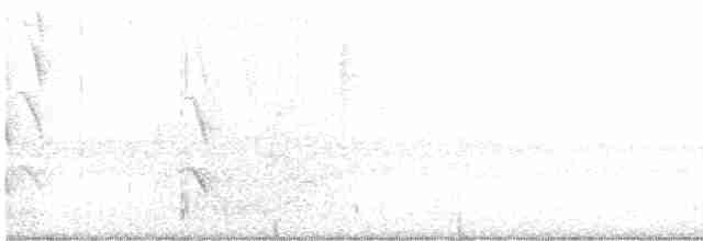 White-cheeked Honeyeater - ML612770443
