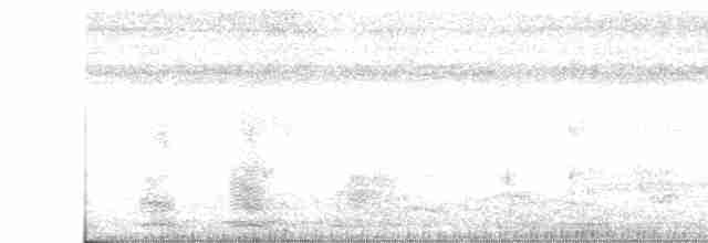 Белый ибис - ML612773544