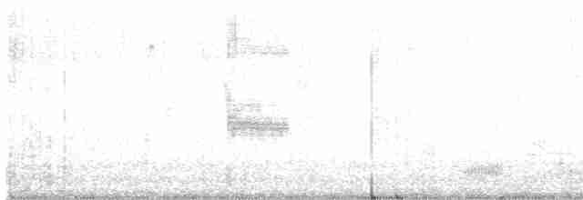 Loggerhead Shrike - ML612776142