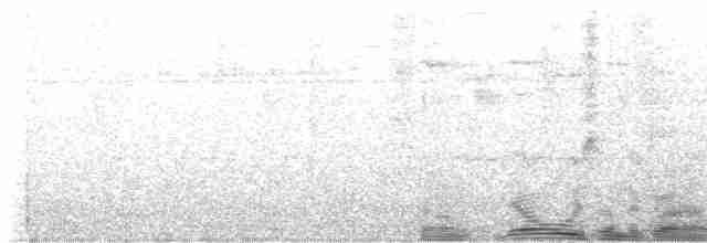Grauscheitel-Ameisenvogel - ML612776435
