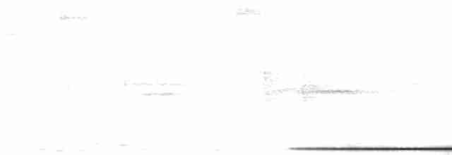 Bahama Bıldırcın Kumrusu - ML612777306