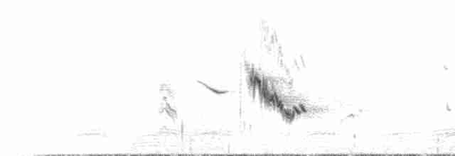 Хохлатая птица-бич - ML612781341