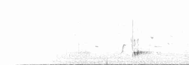 Розовоклювый серёжкоух - ML612781353