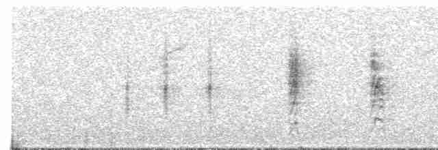 Жемчужногорлая ласточка - ML612781656