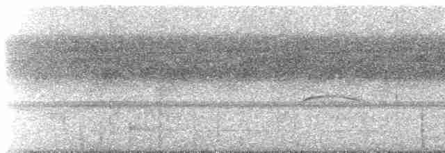 Синелобая якамара - ML612781918