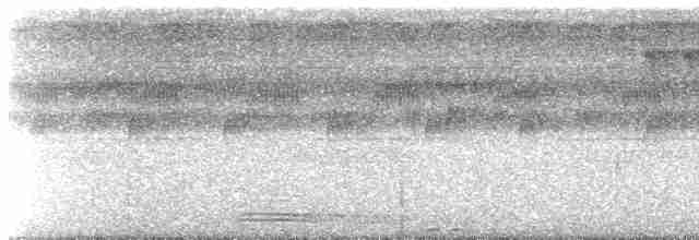Broad-billed Motmot (Plain-tailed) - ML612781928