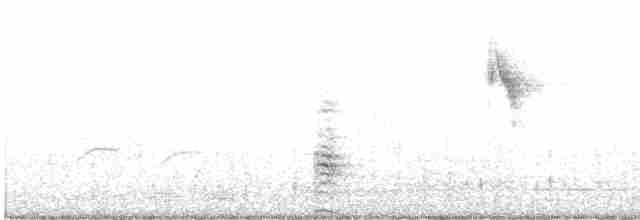 灰頭紫水雞 - ML612782551