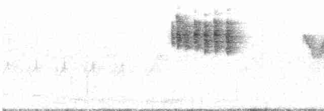 Braunschnäpper (dauurica) - ML612782564