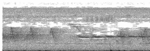 Желтогорлая кукушка - ML612782939
