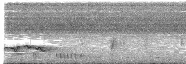 Акалат сіробровий (підвид gunningi) - ML612783110