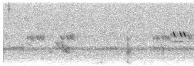 Fiery-necked Nightjar (Black-shouldered) - ML612783354