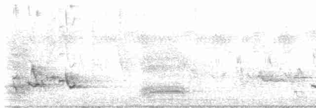 Сероголовый воробей - ML612784332